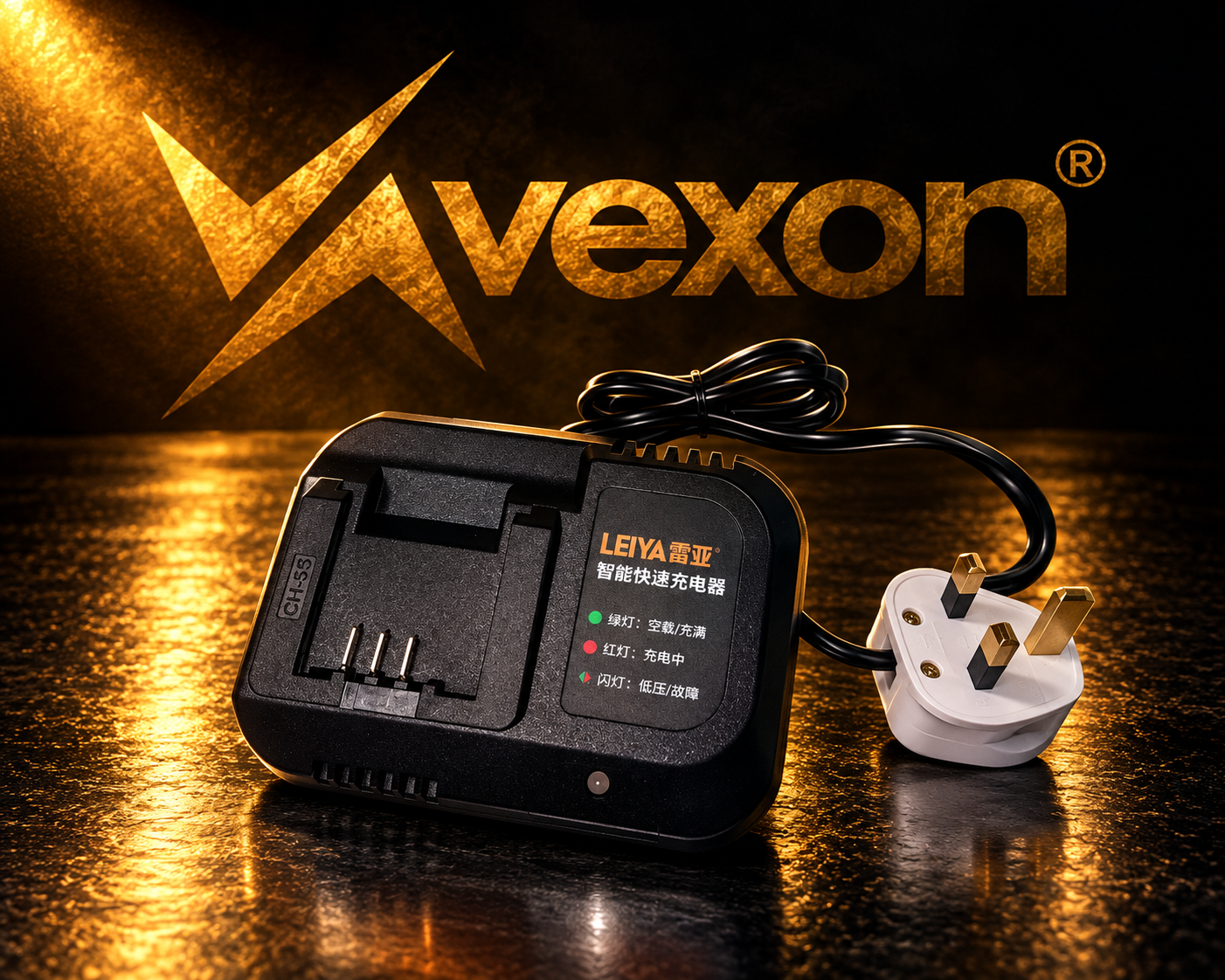 LEIYA 21V Charger
